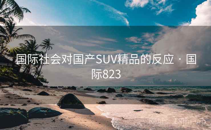国际社会对国产SUV精品的反应 · 国际823