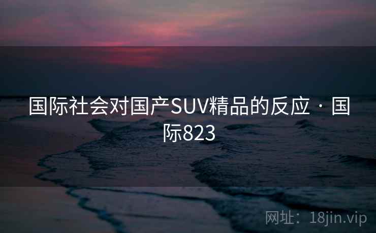 国际社会对国产SUV精品的反应 · 国际823